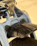 Rear Fender Titanium Bolts (set of 2)