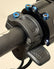 Regen Throttle Titanium Bolt (set of 1)