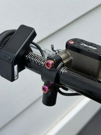 Ultra Bee Brake Mount Titanium Bolts